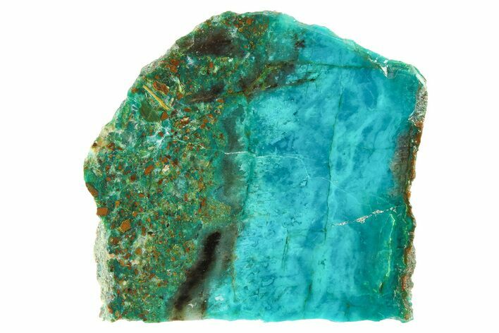 Polished Chrysocolla and Malachite Slice - Bagdad Mine, Arizona #298436